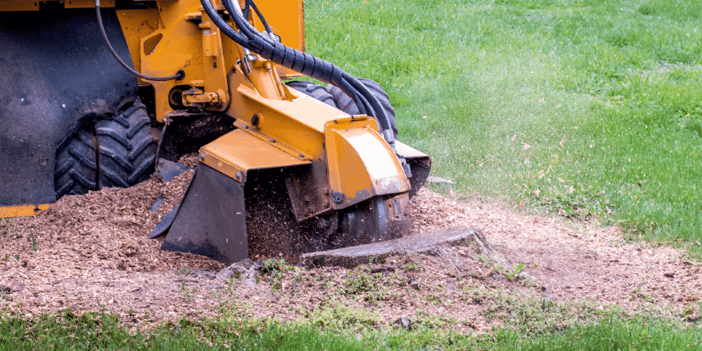 stump removal Epping