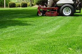 lawn mowing Canterbury