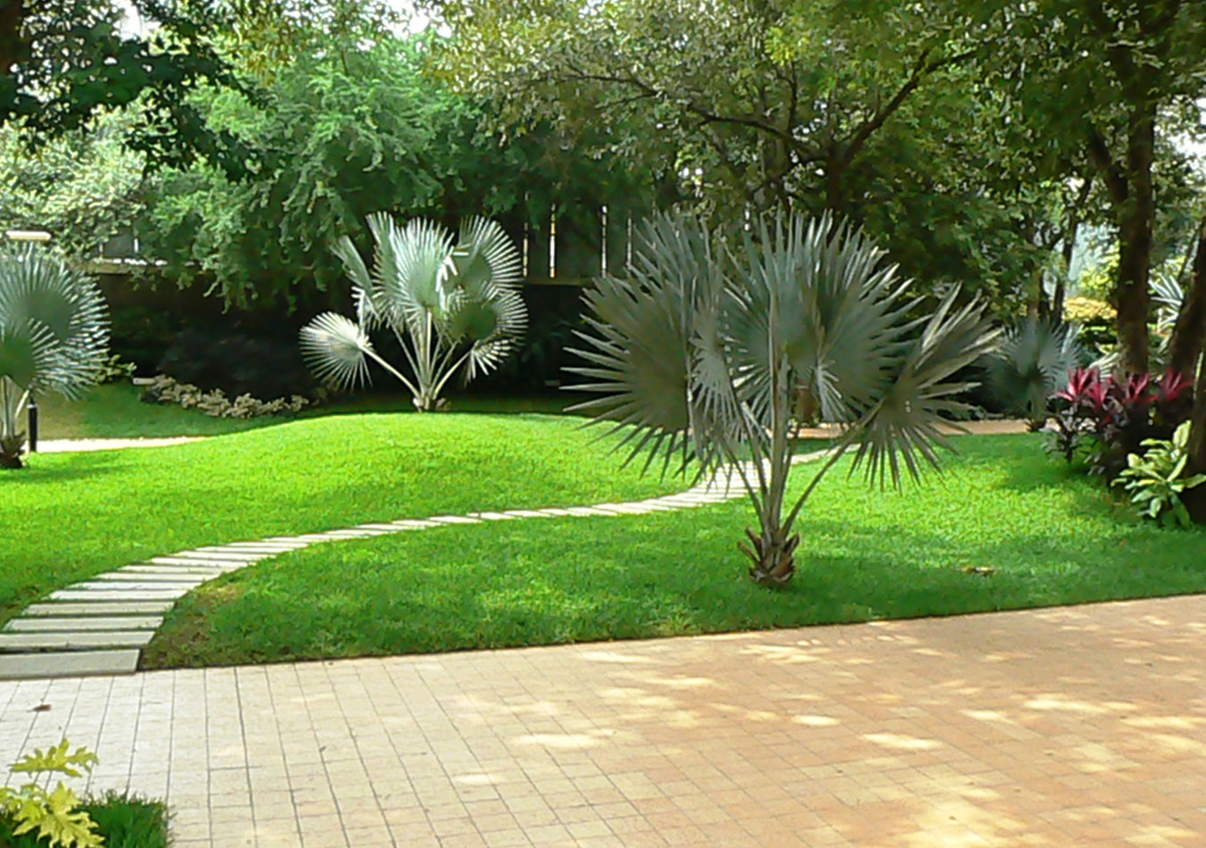 landscaping North Sydney