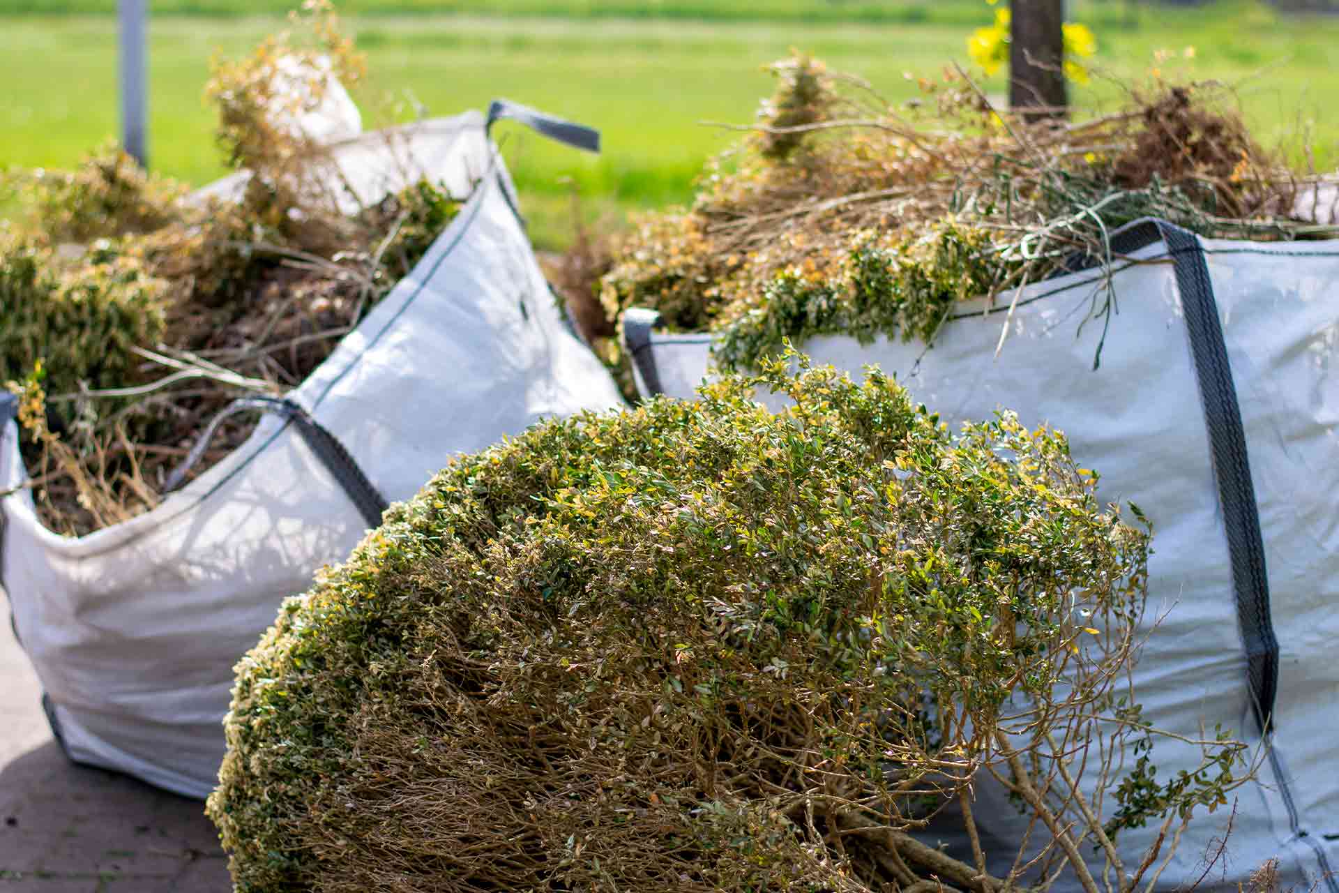 green waste removal service Dandenong