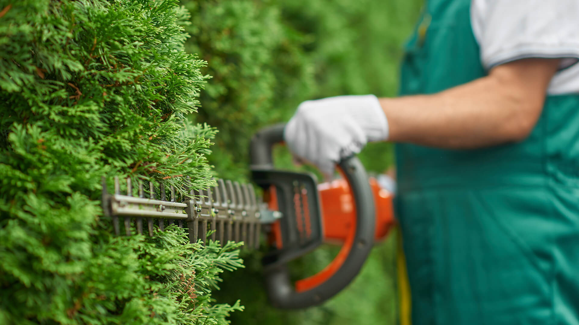 garden maintenance service Doncaster