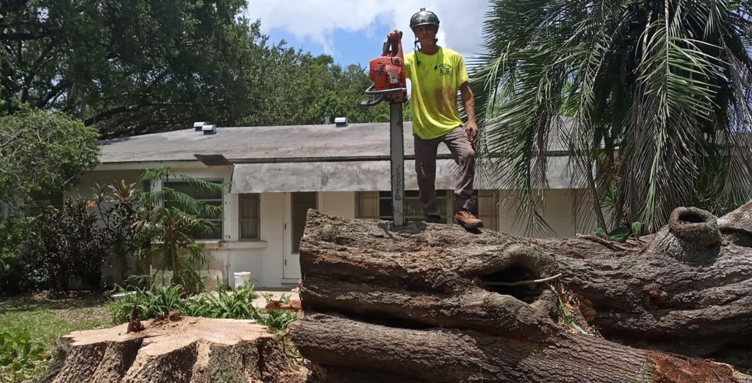 Affordable tree removal Melbourne